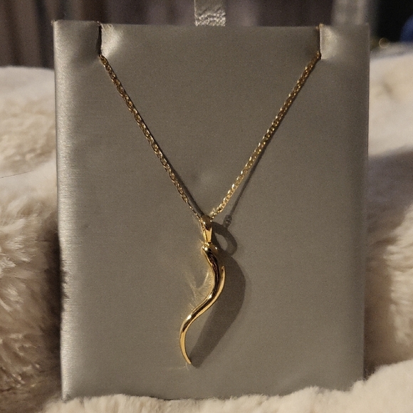 Jewelry - Beautiful Gold Italian Horn Pendant Chain Necklace🇮🇹